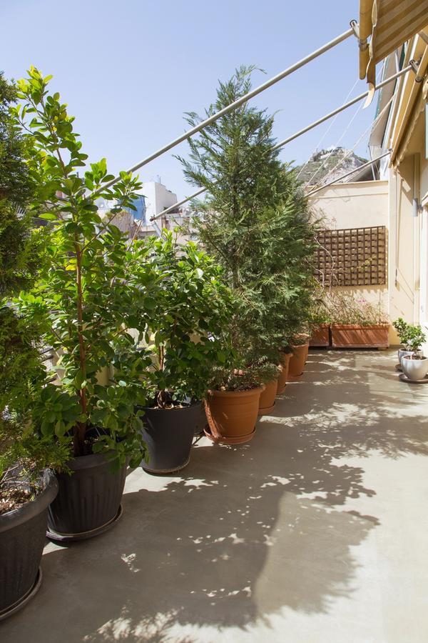 Appartement Beautiful Penthouse In Athens With Outside Jacuzzi Extérieur photo